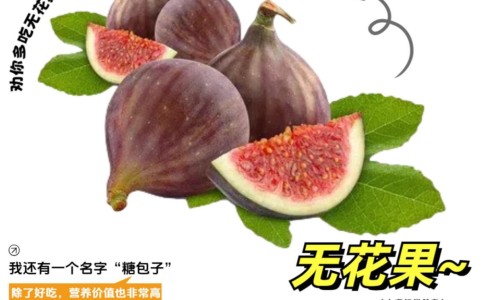 醋泡黑豆正确吃法和功效-醋泡黑豆的正确吃法-醋泡黑豆正确吃法和功效,中国醋泡黑豆正确吃法网站